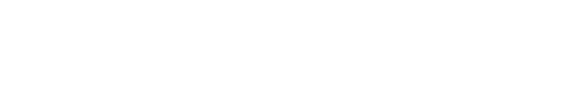 ZIRMAVEC FACTORY Logo